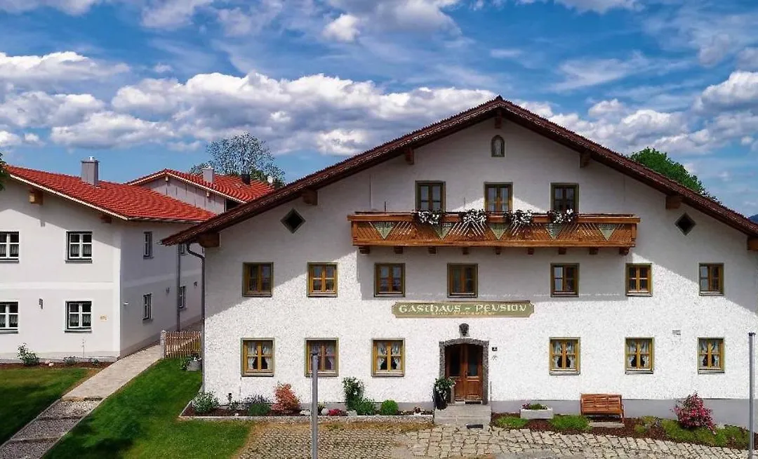 Pension Zum Lebzelter-1